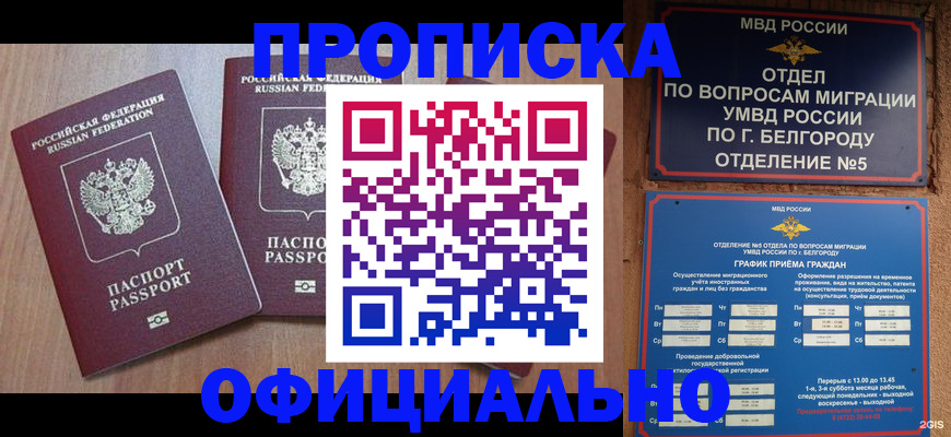 найти адрес прописки в Кодинске